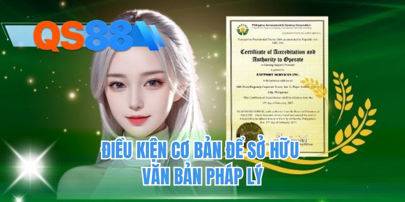 Điều kiện cơ bản để sở hữu văn bản pháp lý
